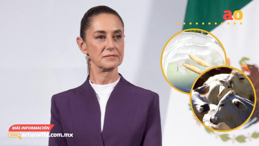 EE.UU. SUSPENDE IMPORTACIÓN DE GANADO MEXICANO POR BROTE DE GUSANO BARRENADOR