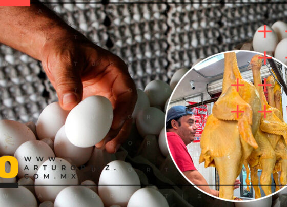 Aumenta precio del pollo y huevo en Morelos