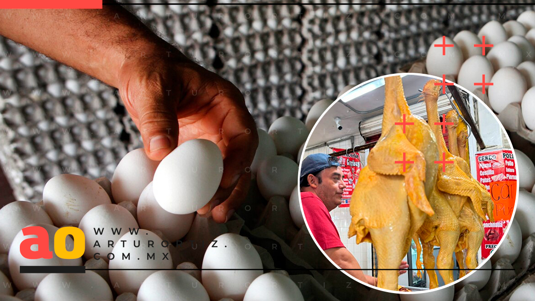 PRECIO DEL POLLO Y HUEVO AUMENTA 35% EN MORELOS