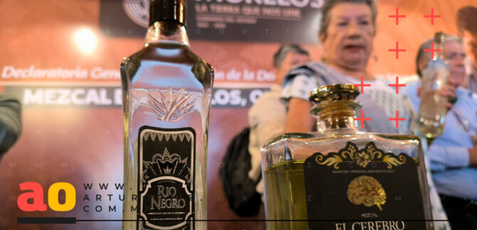 Mezcal de Morelos denominación de Origen