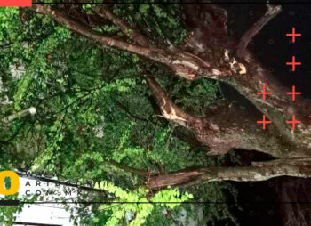 lluvias dejaron afectaciones en Tlaltizapán