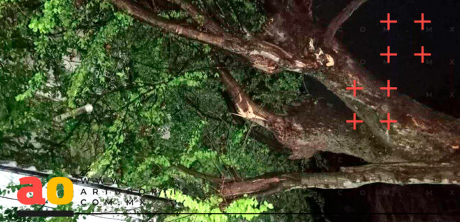 lluvias dejaron afectaciones en Tlaltizapán