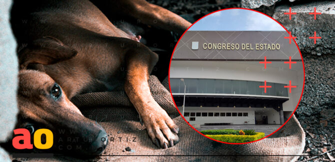 Maltrato Animal Congreso de Morelos