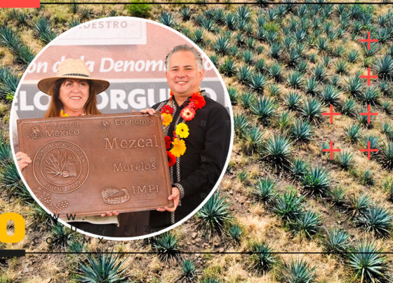 Plan estatal Mezcal de Morelos