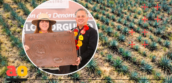 Plan estatal Mezcal de Morelos