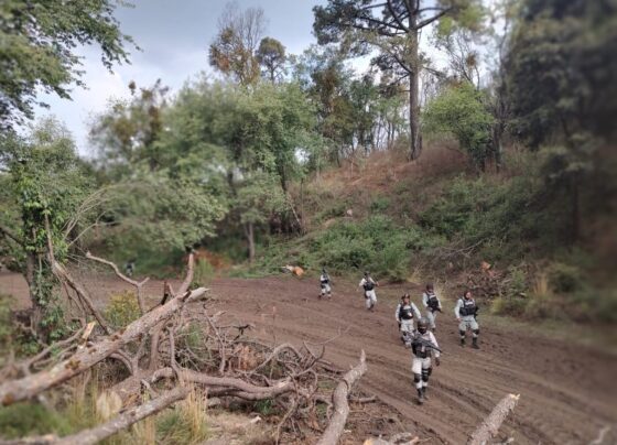 Combatirán la tala clandestina en el Oriente de Morelos