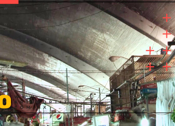 Municipio de Cuernavaca renovará cableado del mercado ALM