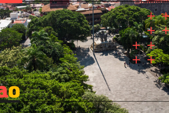 Saneamiento de árboles Plaza de Armas de Cuernavaca