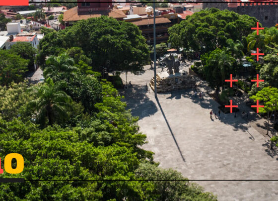 Saneamiento de árboles Plaza de Armas de Cuernavaca