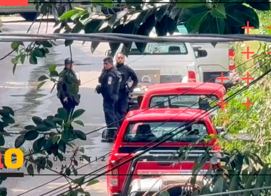 Cateo Chamilpa sin rastro de cuerpos enterrados.