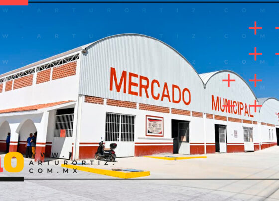 Mercado San Pablo en Axochiapan