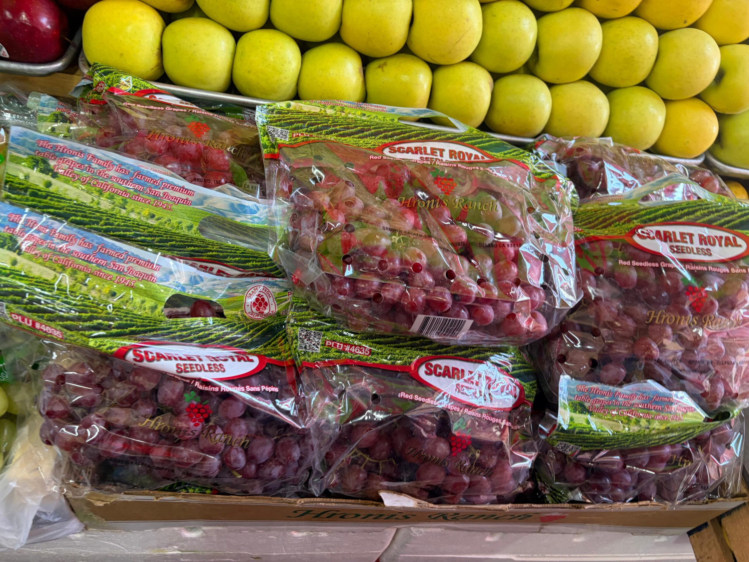 ENTRE 90 Y 150 SE COMERCIALIZA LA UVA EN CUAUTLA
