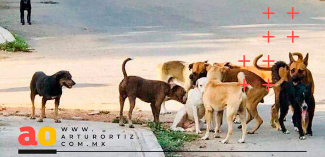 Jauría atacan mujer e hija Cuautlixco Cuautla