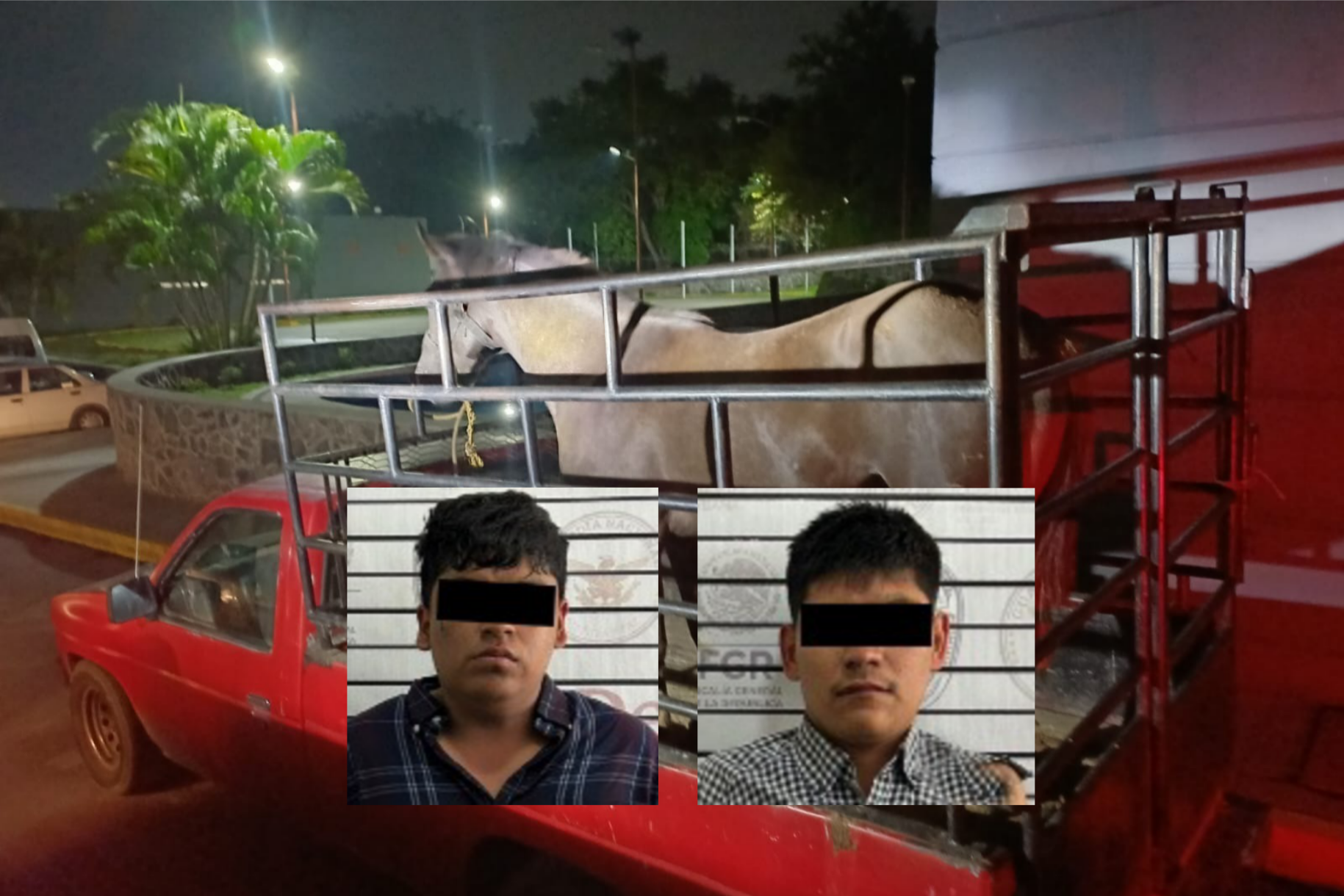 TRES DETENIDOS TRAS ROBO VIOLENTO DE CAMIONETA Y CABALLO EN CUERNAVACA