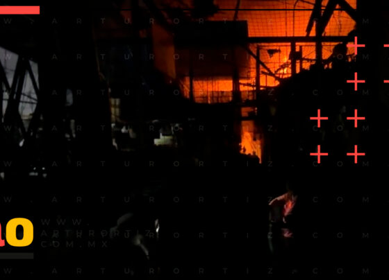 Incendio Mercado Adolfo López Mateos Cuernavaca 13 Septiembre 2026