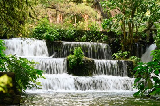 ecosistemas en Morelos