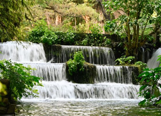 ecosistemas en Morelos